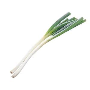 きざみねぎ(力作野菜) | イオン九州のネットスーパー