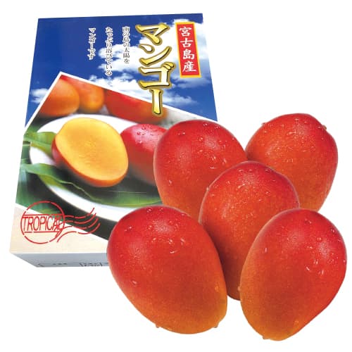 ☆【夏ギフト】宮古島百姓倶楽部の美味しいマンゴー約2kg(4