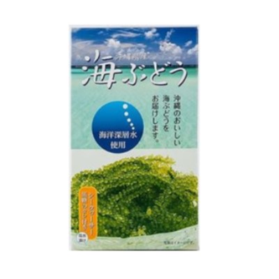 沖縄県産 海ぶどう シークヮサー黒糖のタレ付き 60g | 沖縄のお
