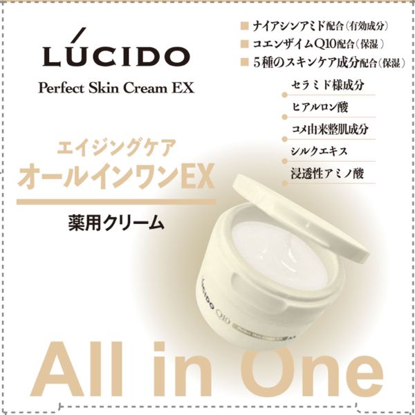 LUCIDO エイジングケアオールインワンEX 6個セット LUCIDO エイジング