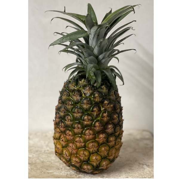 希少パイナップル　ホワイトココ　3玉 希少品種！！ホワイトココ(裂果あり)2〜3玉🥥🍍(2kg〜)：沖縄県