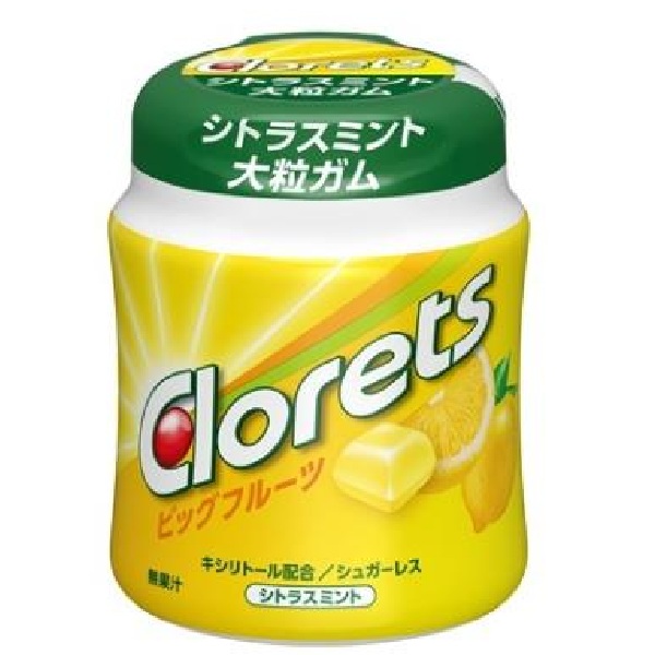 モンデリーズ クロレッツ ビッグ ブルーミント ボトル 112g | イオン